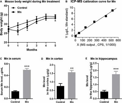 Manganese Exposure Aggravates β-Amyloid Pathology by Microglial Activation